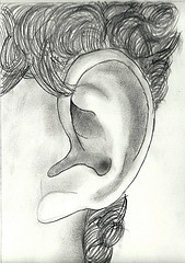 drawing of an ear