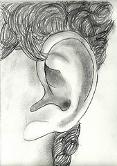 an ear