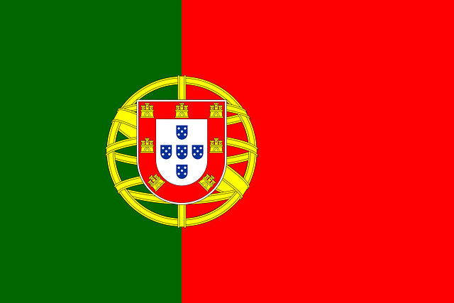 flag image