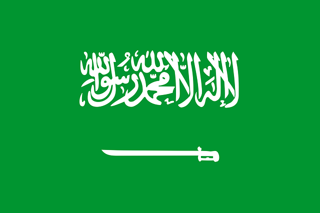 flag image