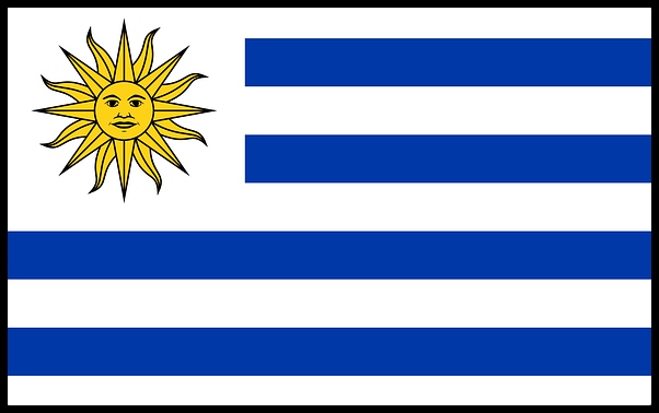 flag image