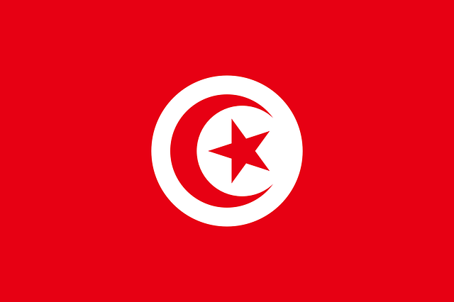 flag image