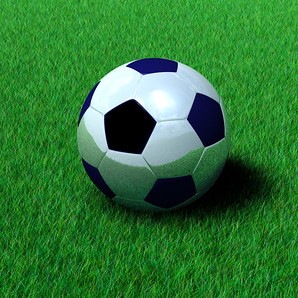 soccer ball (football) in grass